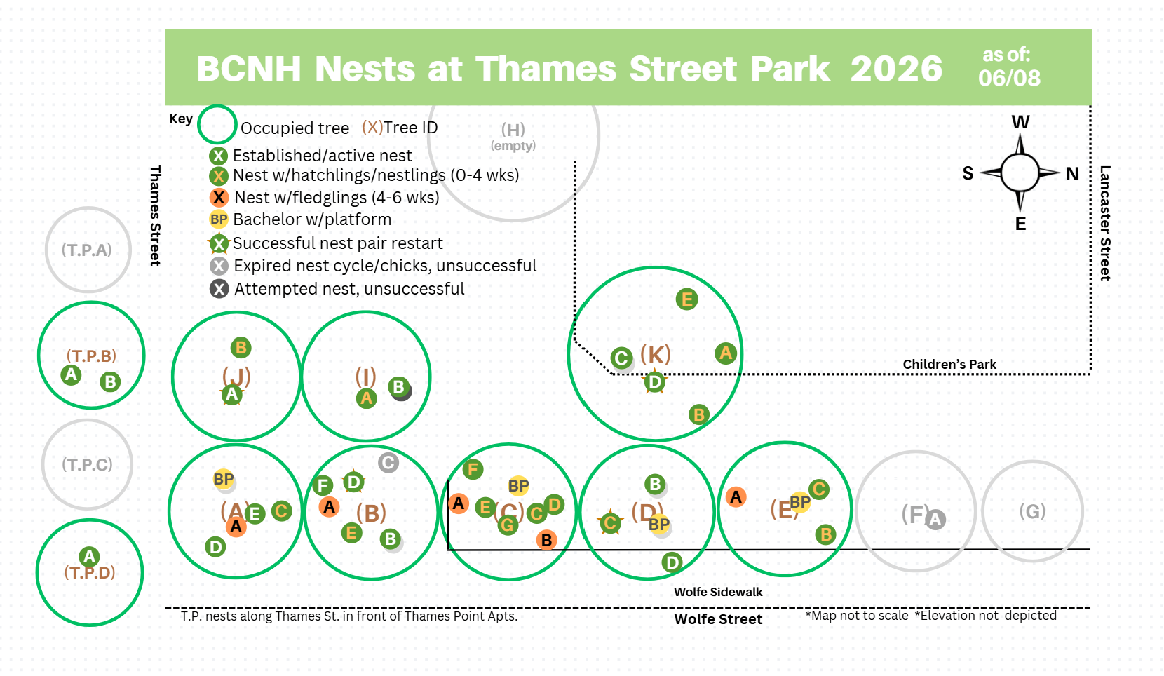 Map of Black-crowned Night Heron nests at Thames Street Park, 2026